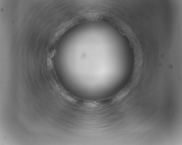 X0000051910432200507082034