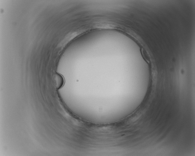 X0000051910433200507082033