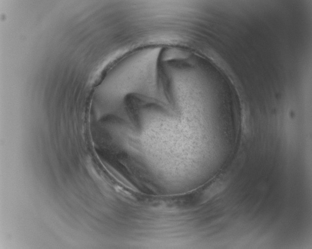 X0000051910434200507082033