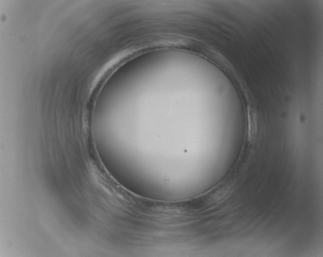 X0000051910435200507082033