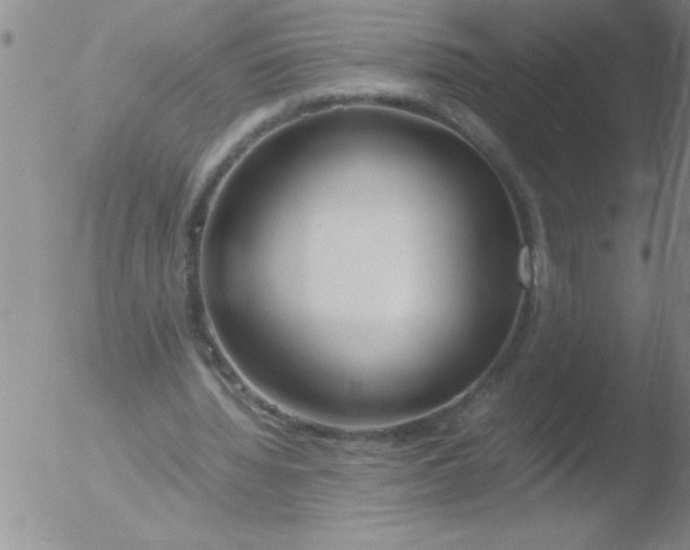 X0000051910436200507082033