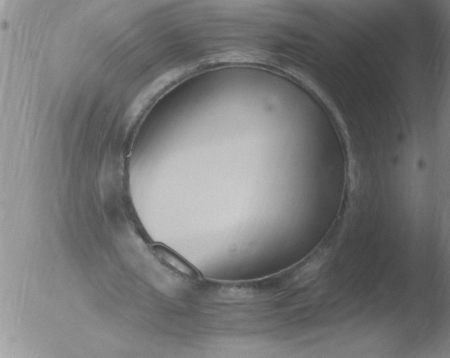 X0000051910437200507082033