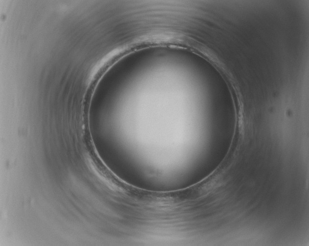 X0000051910438200507082033