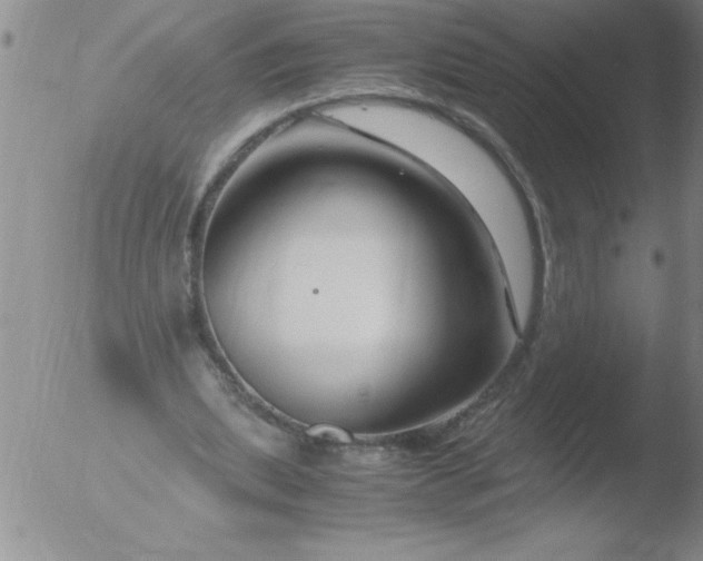 X0000051910439200507082033