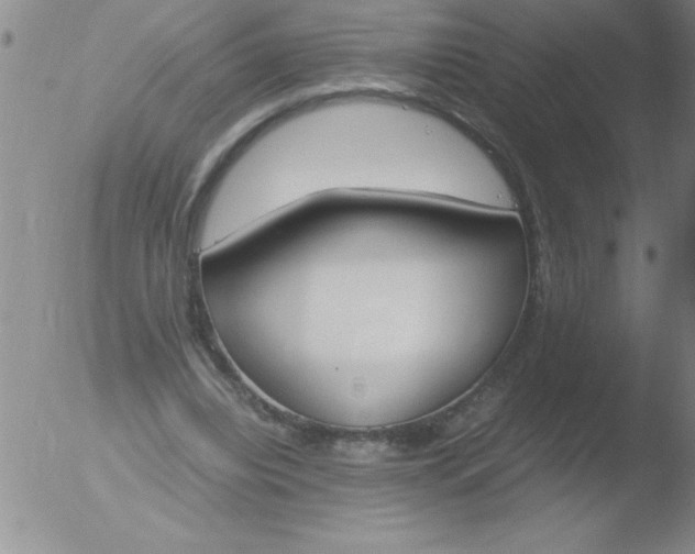 X0000051910440200507082033