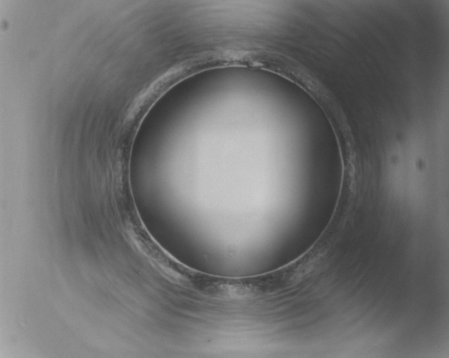 X0000051910442200507082033