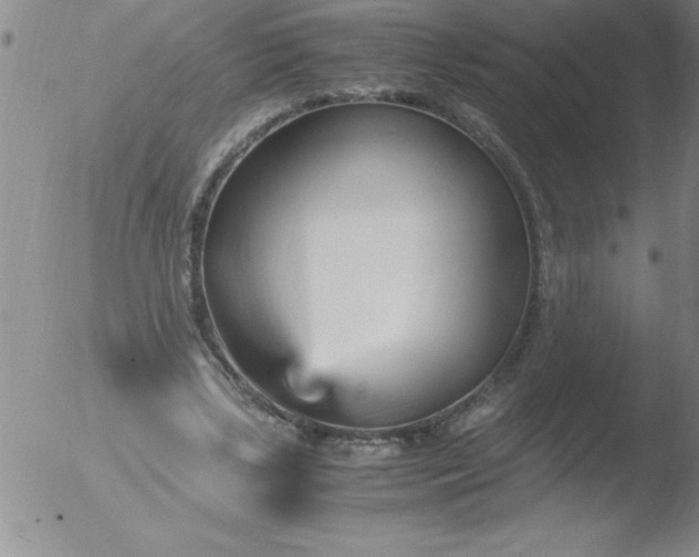 X0000051910443200507082033