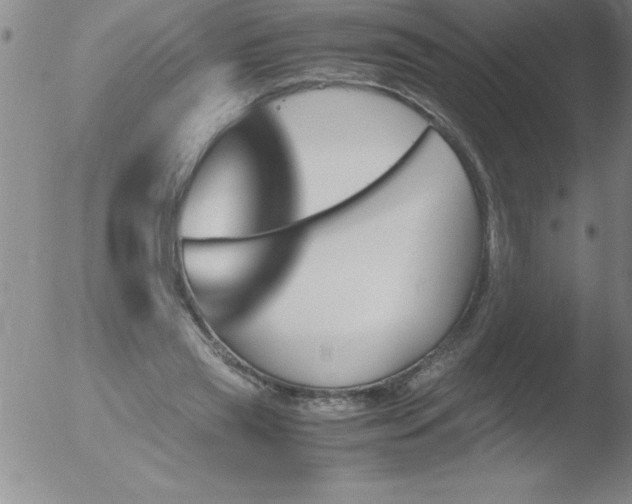 X0000051910445200507082033