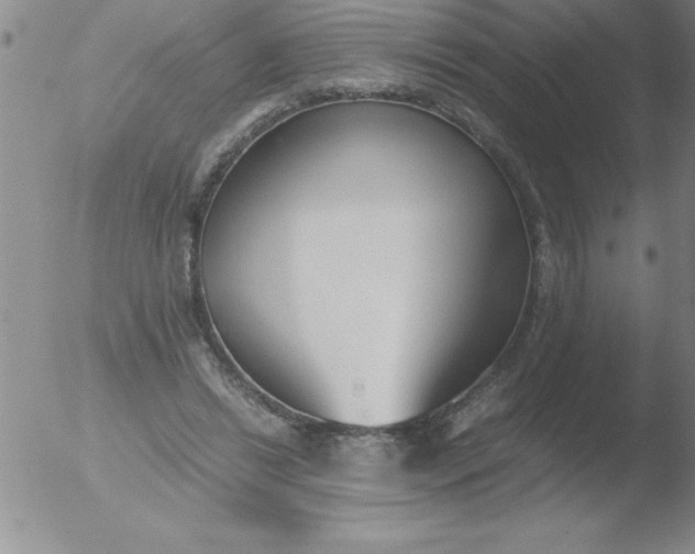 X0000051910446200507082034