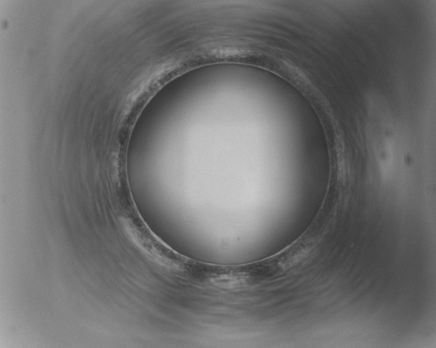 X0000051910447200507082034