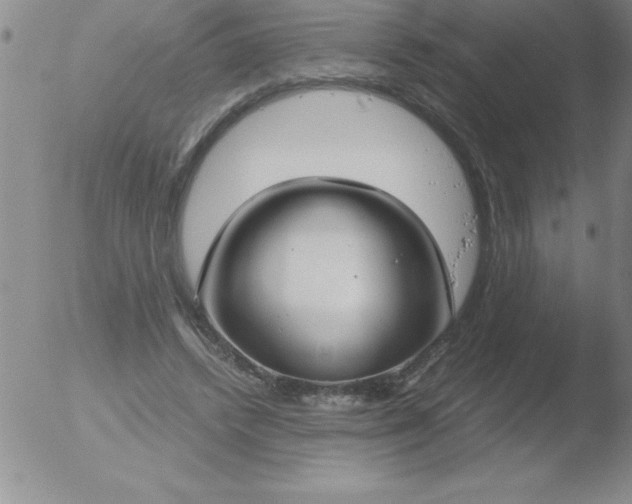 X0000051910448200507082034