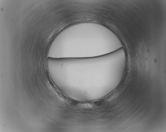 X0000051910449200507082034