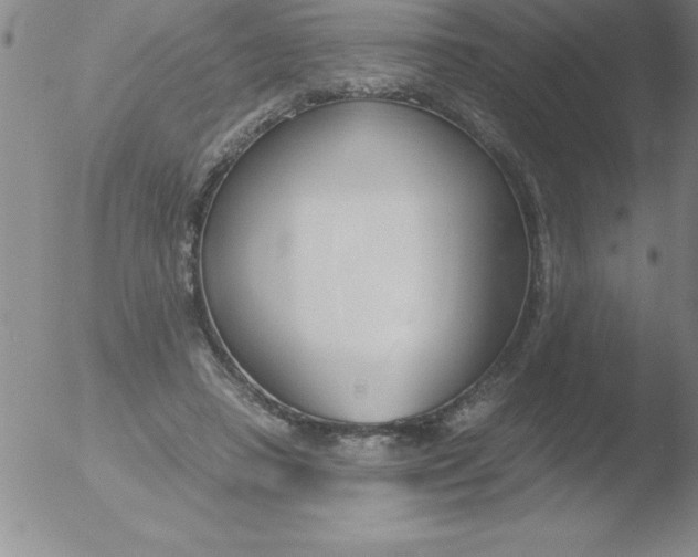 X0000051910450200507082034