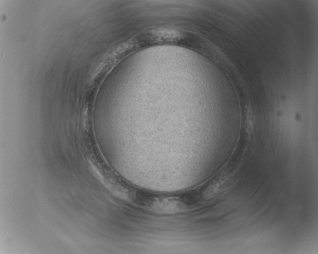 X0000051910451200507082034