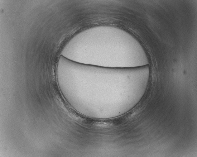 X0000051910453200507082034