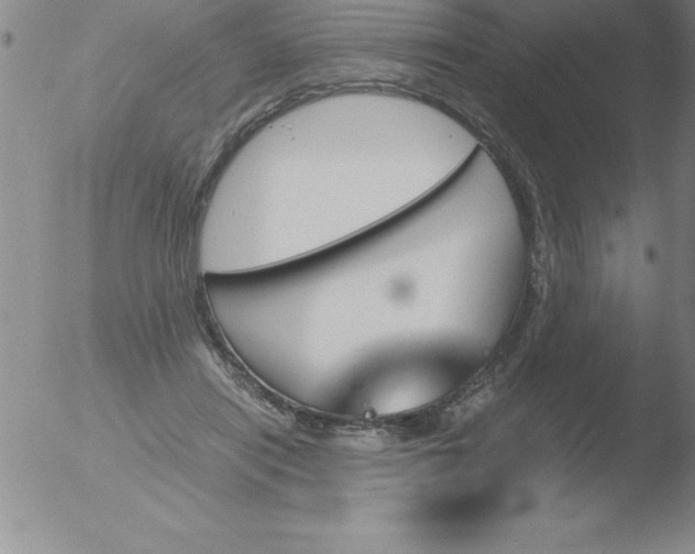 X0000051910454200507082034