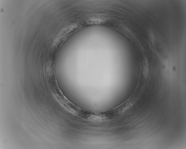 X0000051910455200507082034