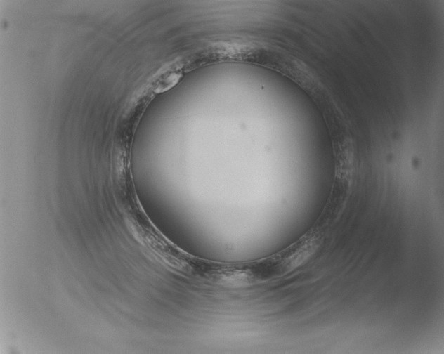 X0000051910456200507082034