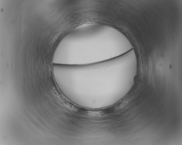 X0000051910457200507082034