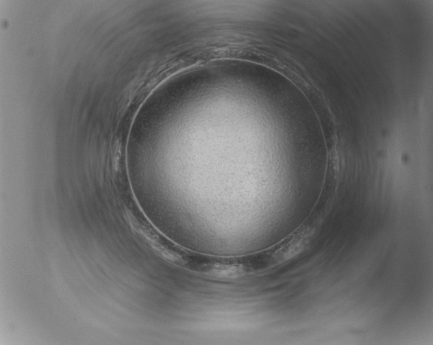 X0000051910458200507082034