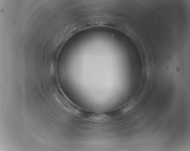 X0000051910459200507082034