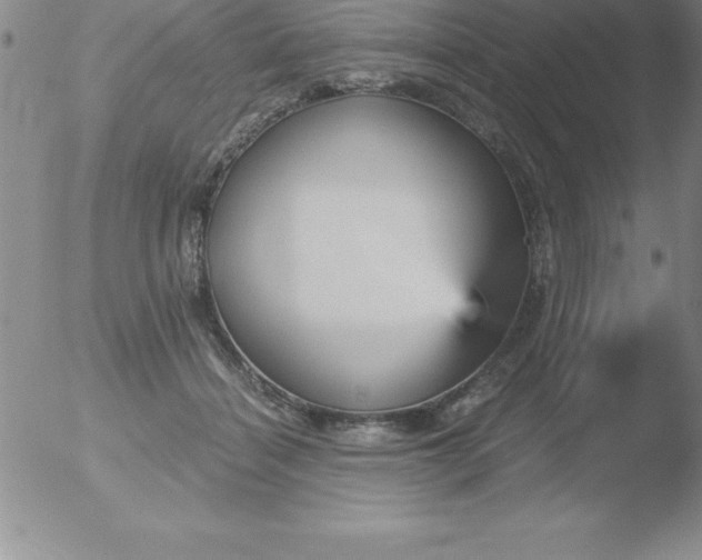 X0000051910460200507082034