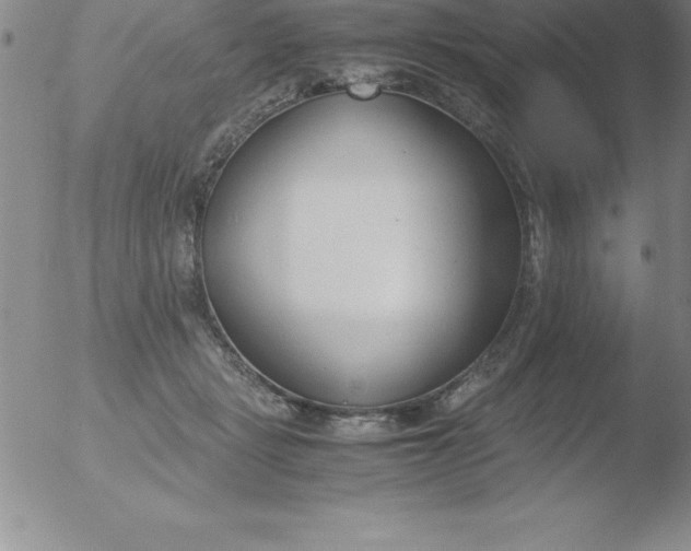 X0000051910461200507082034