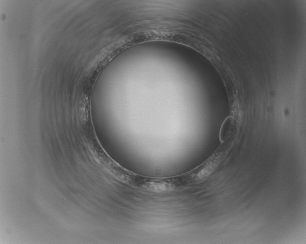 X0000051910464200507082034