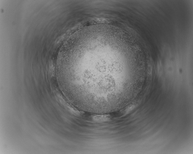 X0000051910465200507082034