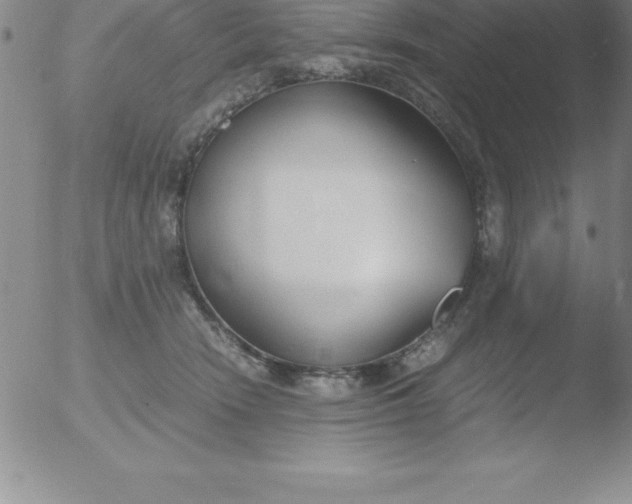 X0000051910466200507082034