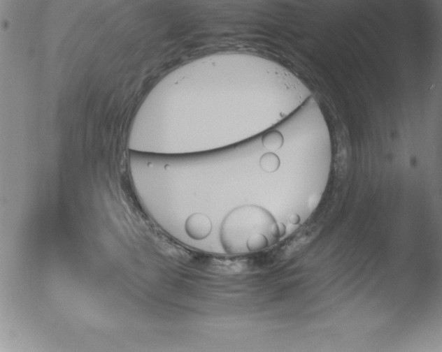 X0000051910469200507082034