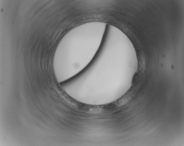 X0000051910470200507082034