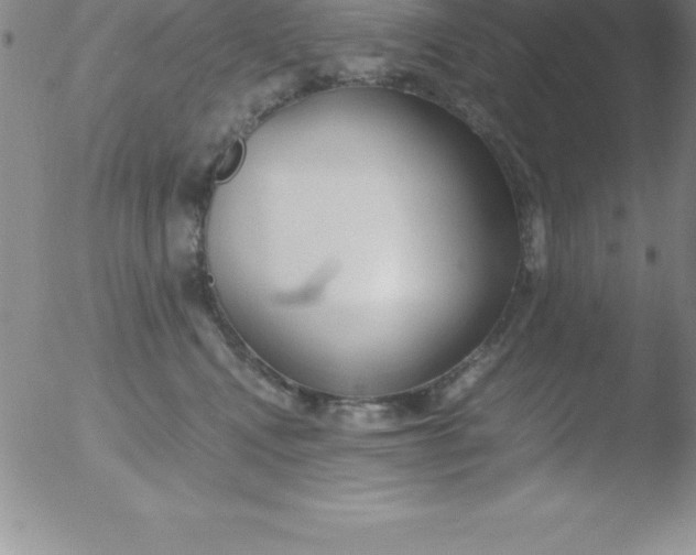 X0000051910472200507082034