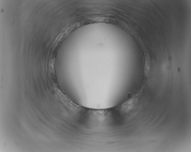 X0000051910473200507082034