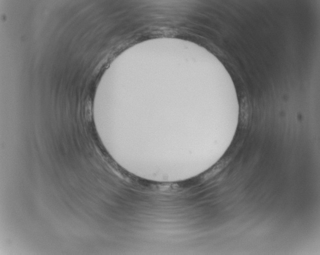 X0000051910474200507082034