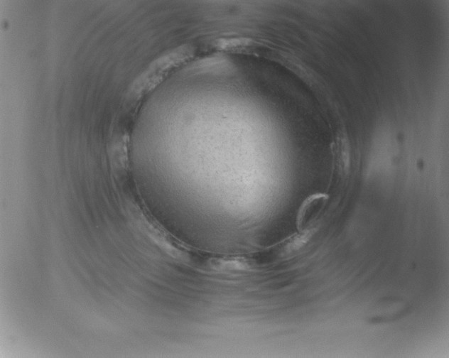 X0000051910475200507082034