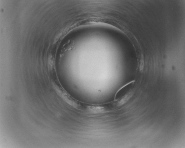 X0000051910476200507082034