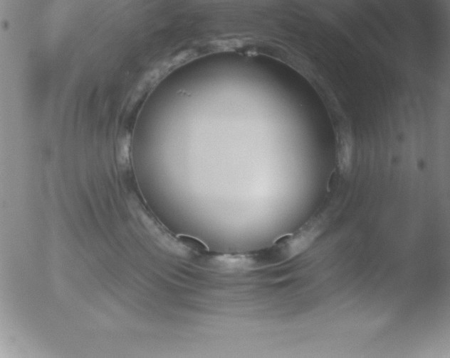 X0000051910477200507082034