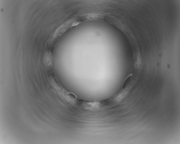 X0000051910478200507082034