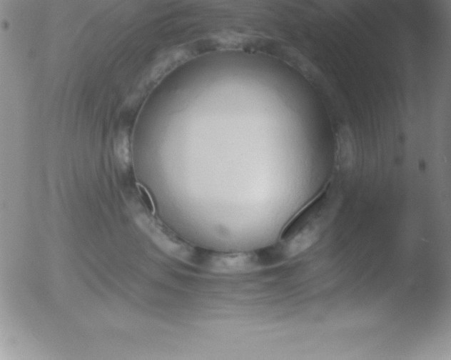 X0000051910479200507082034