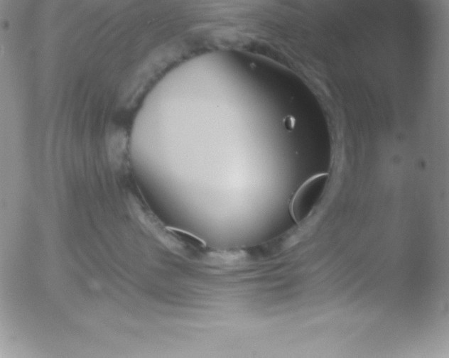 X0000051910480200507082034