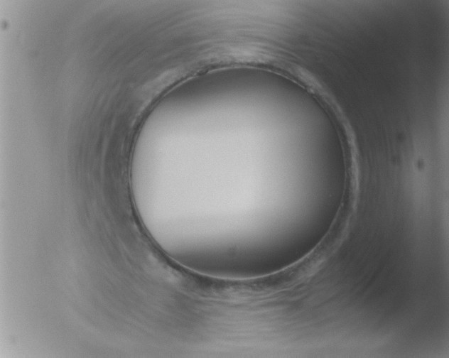 X0000051910481200507082033