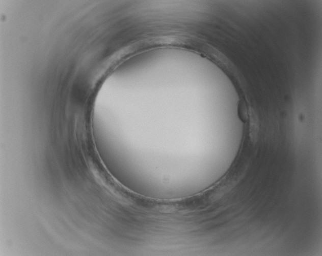 X0000051910482200507082033