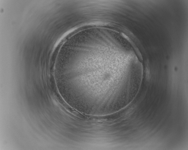 X0000051910484200507082033