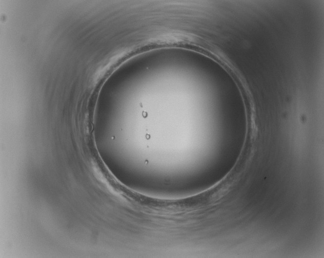 X0000051910485200507082033