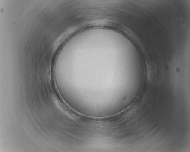 X0000051910486200507082033