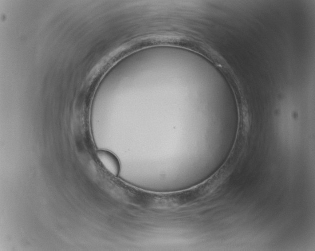 X0000051910487200507082033