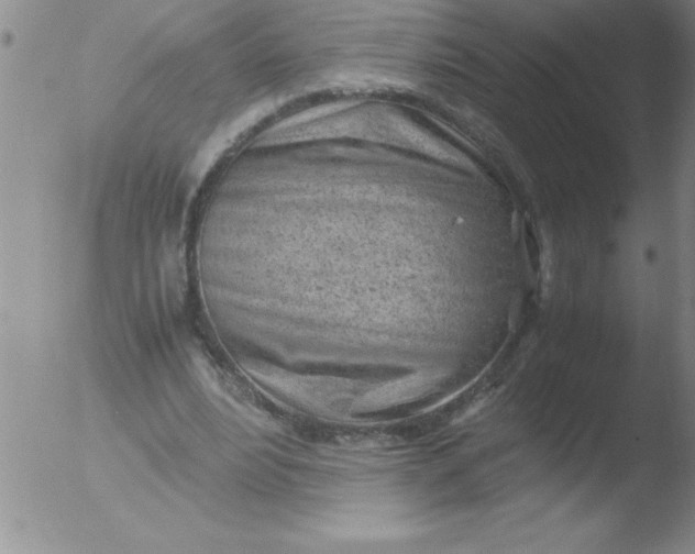 X0000051910488200507082033