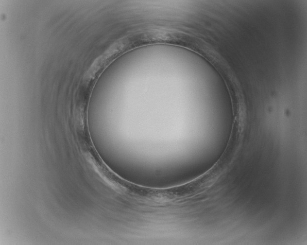 X0000051910489200507082033