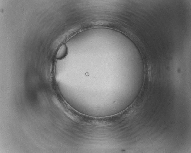 X0000051910490200507082033